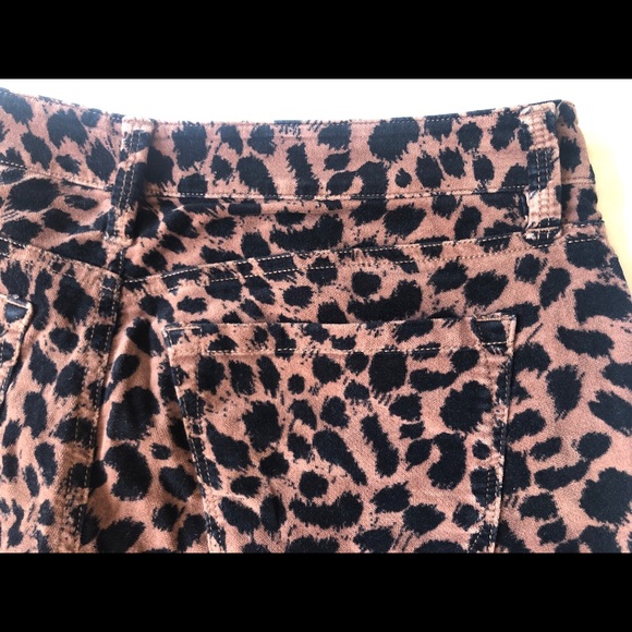 Ann Taylor Loft - Velvet Cheetah print pants - Picture 5 of 8